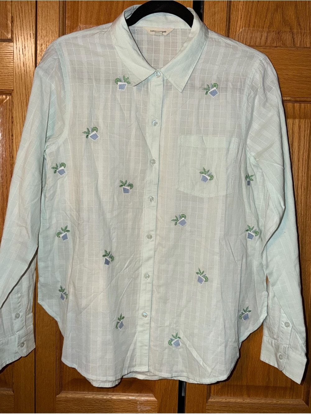 Liz ClaiborLight Green Embroidered Button-Up Shirt - Men
